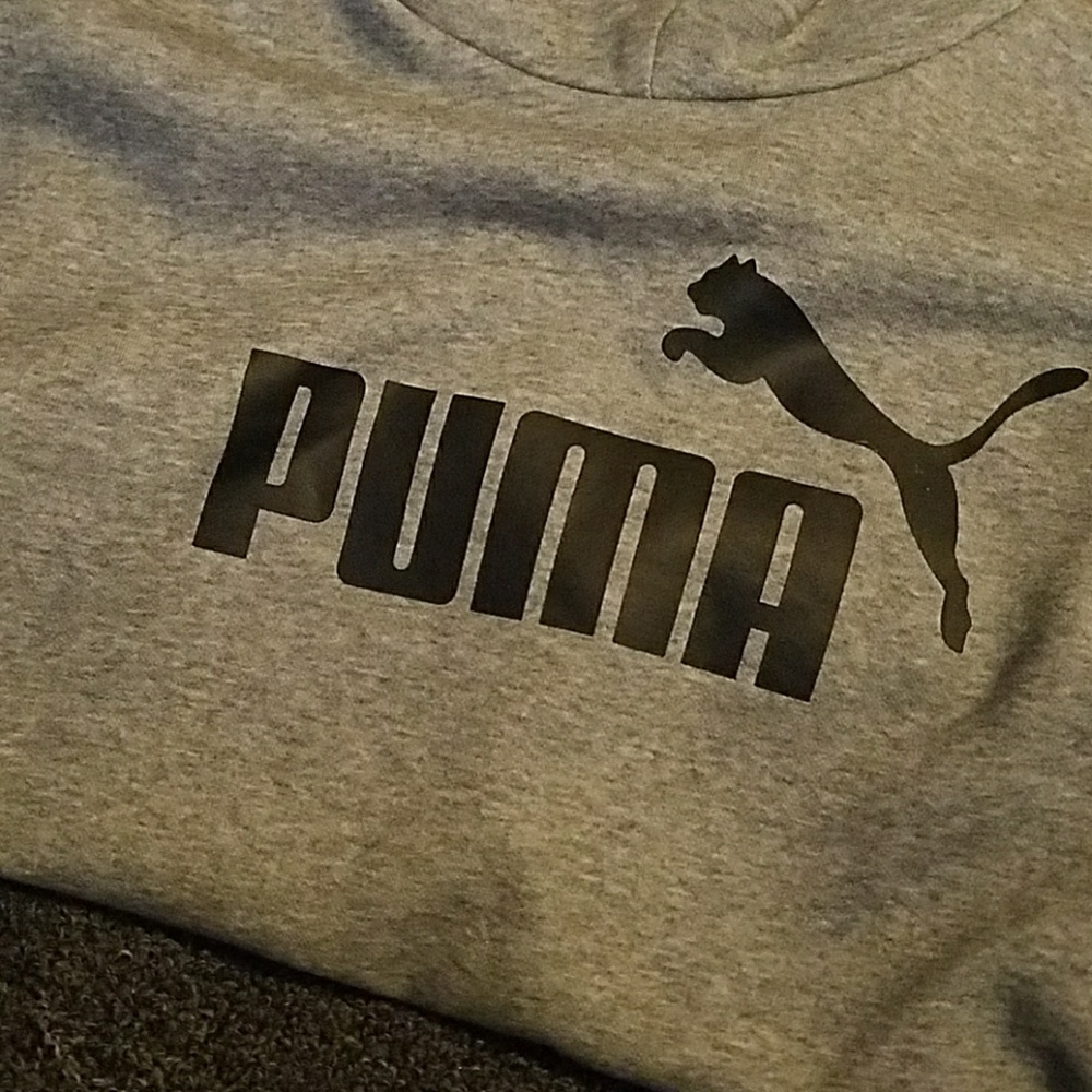 Hoodie Gray Puma Medium